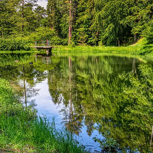 Lake Monitoring - Lake Management Dallas Fort Worth