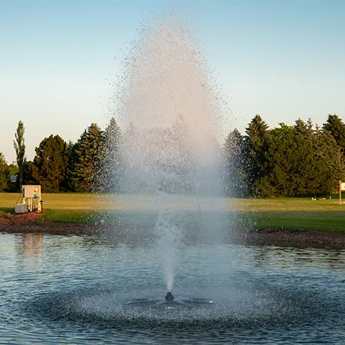 Aquamaster Master Series Fountains Dallas Fort Worth Texas