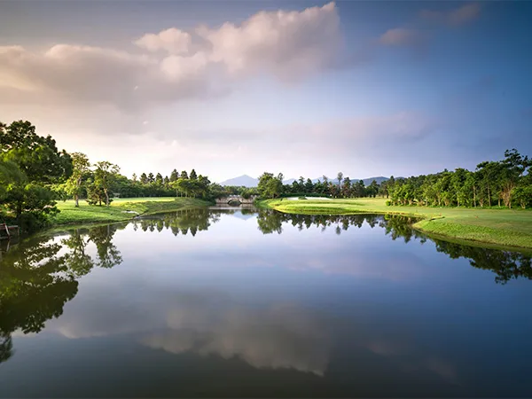 Lake and Pond Management Dallas Fort Worth by The Lake Doctor
