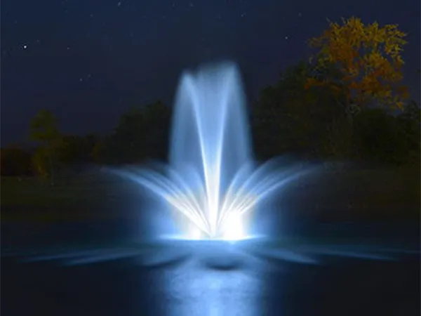 Lake and Pond Management Dallas Fort Worth by The Lake Doctor