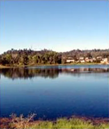 Lake and Pond Management Dallas Fort Worth by The Lake Doctor