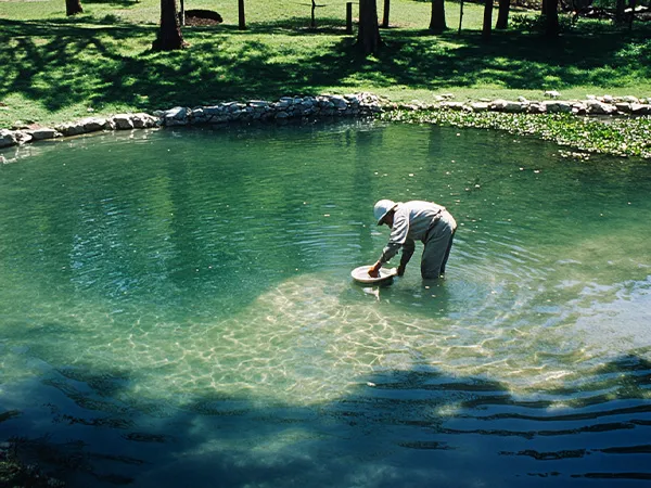 Lake and Pond Management Dallas Fort Worth by The Lake Doctor