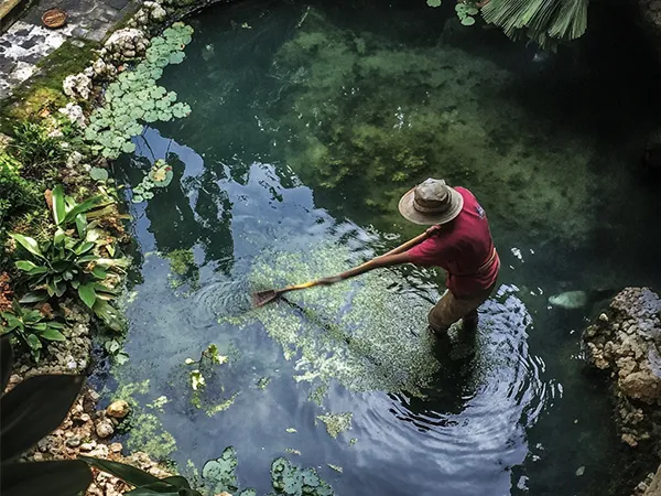 Lake and Pond Management Dallas Fort Worth by The Lake Doctor