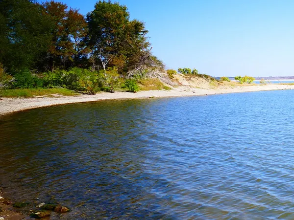 Lake and Pond Management Dallas Fort Worth by The Lake Doctor