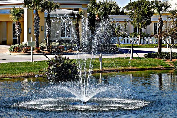 Bayside Thumbnail