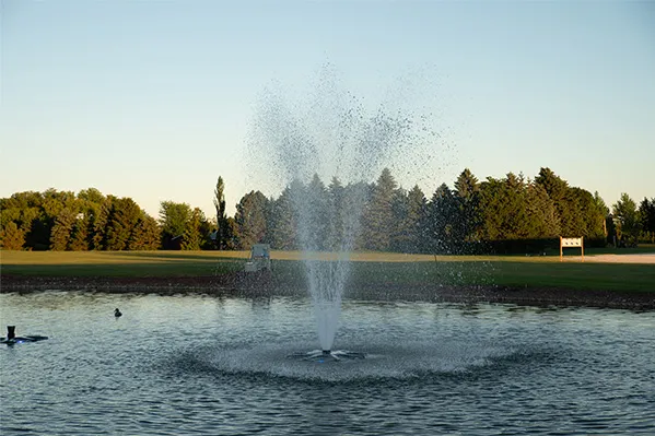 Medinah Thumbnail